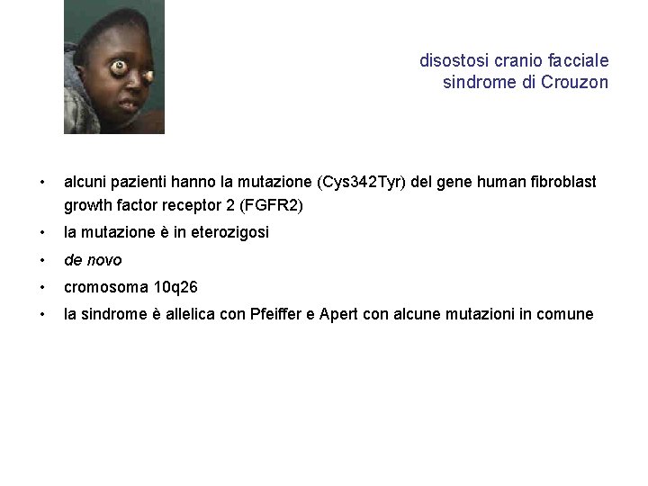 disostosi cranio facciale sindrome di Crouzon • alcuni pazienti hanno la mutazione (Cys 342