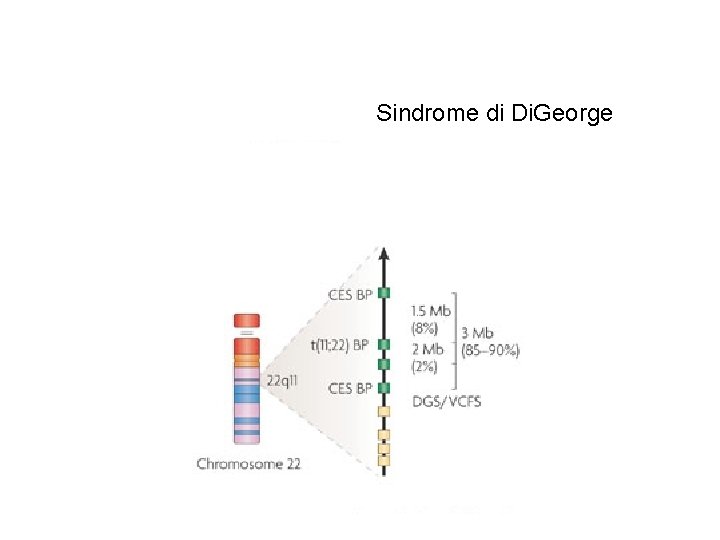 Sindrome di Di. George 