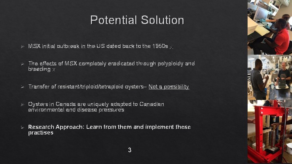 Potential Solution Ø MSX initial outbreak in the US dated back to the 1950