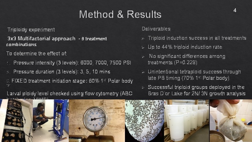 Method & Results 4 Triploidy experiment Deliverables 3 x 3 Multifactorial approach - 9