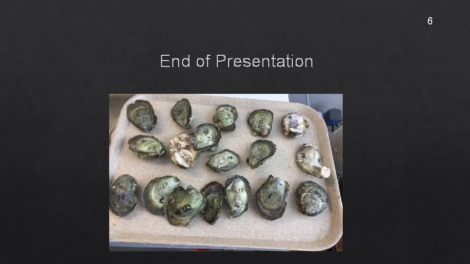 6 End of Presentation 