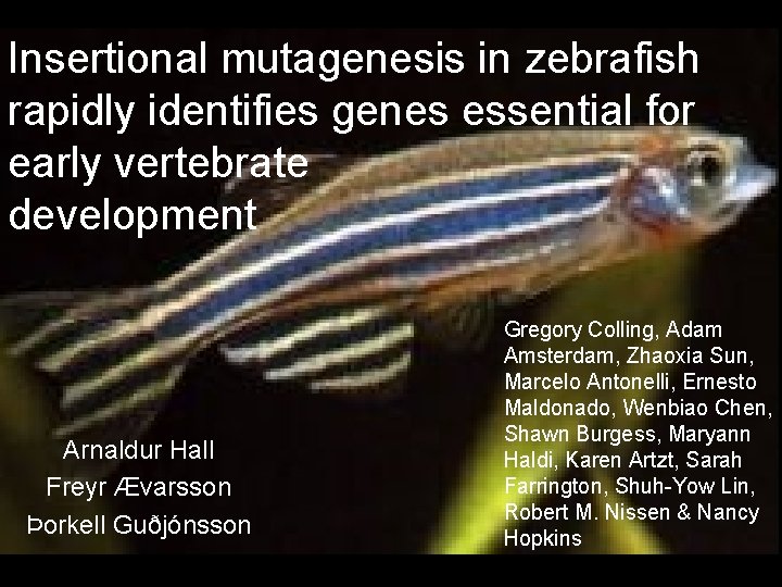 Insertional mutagenesis in zebrafish rapidly identifies genes essential for early vertebrate development Arnaldur Hall