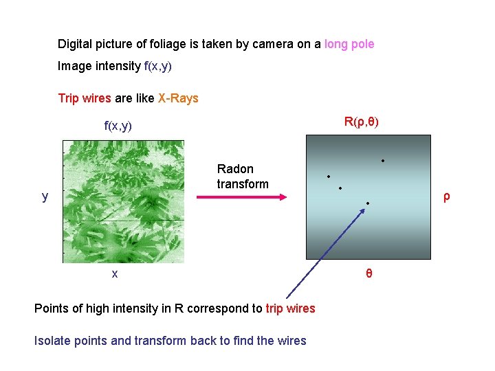 Digital picture of foliage is taken by camera on a long pole Image intensity