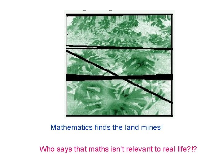 Mathematics finds the land mines! Who says that maths isn’t relevant to real life?