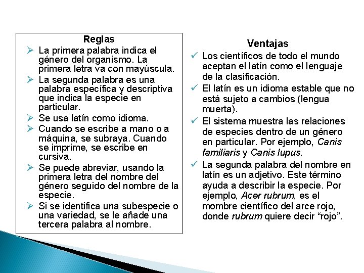 Ø Ø Ø Reglas La primera palabra indica el género del organismo. La primera