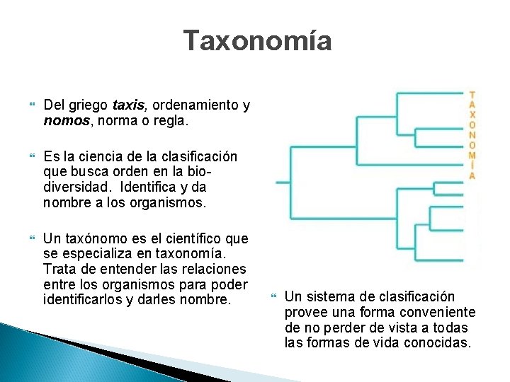 Taxonomía Del griego taxis, ordenamiento y nomos, norma o regla. Es la ciencia de