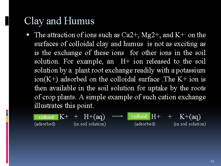 Clay and Humus The attraction of ions such as Ca 2+, Mg 2+, and