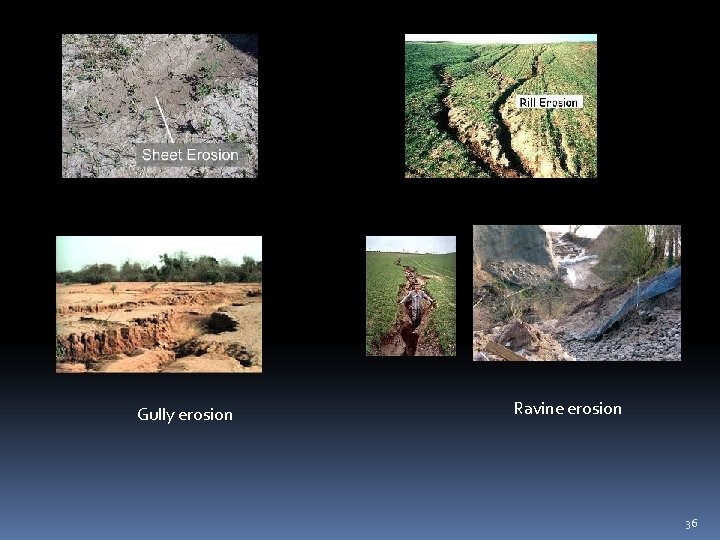 Gully erosion Ravine erosion 36 