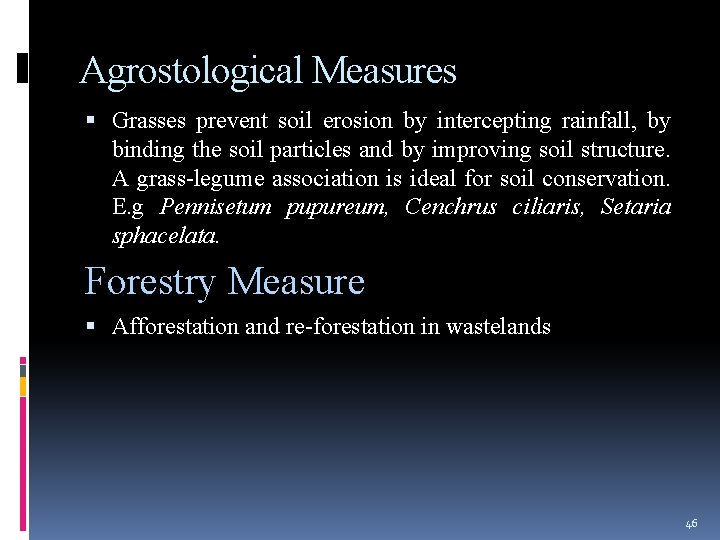 Agrostological Measures Grasses prevent soil erosion by intercepting rainfall, by binding the soil particles