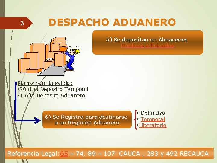 3 DESPACHO ADUANERO 5) Se depositan en Almacenes Públicos o Privados Plazos para la