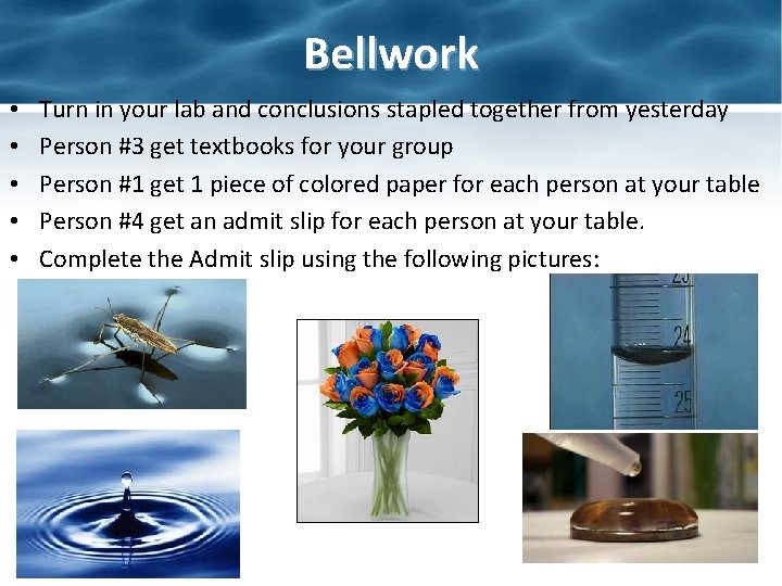 Bellwork • • • Turn in your lab and conclusions stapled together from yesterday