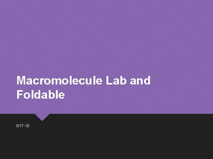 Macromolecule Lab and Foldable 9/17 -18 