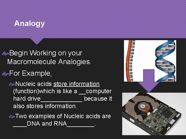 Analogy Begin Working on your Macromolecule Analogies. For Example, Nucleic acids store information (function)which