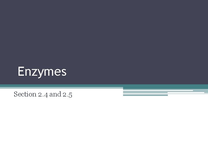 Enzymes Section 2. 4 and 2. 5 