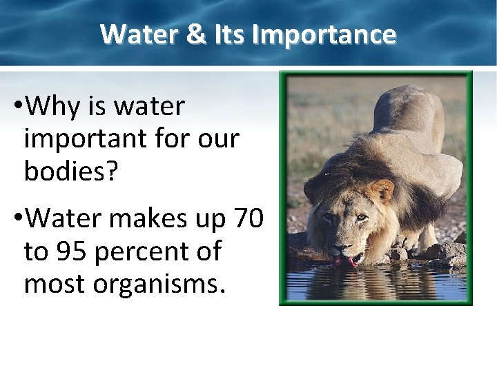 Water & Its Importance • Why is water important for our bodies? • Water