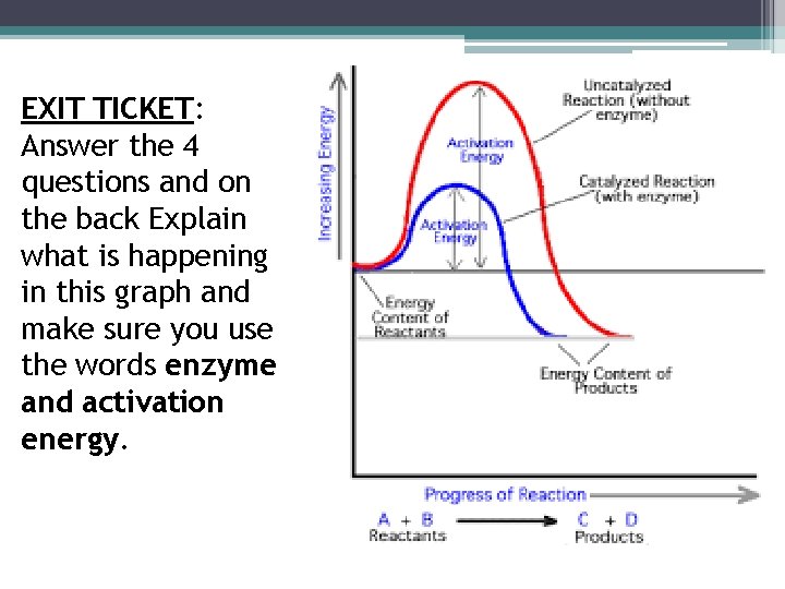 EXIT TICKET: Answer the 4 questions and on the back Explain what is happening