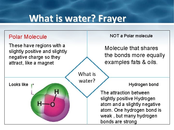 What is water? Frayer NOT a Polar molecule Polar Molecule These have regions with