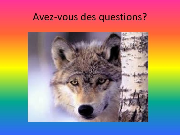 Avez-vous des questions? Avez-vous des questions?