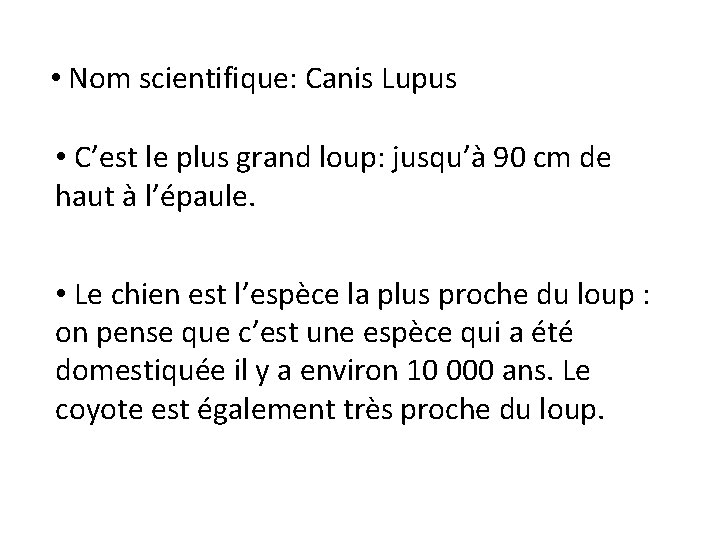 • Nom scientifique: Canis Lupus • C’est le plus grand loup: jusqu’à 90 • Nom scientifique: Canis Lupus • C’est le plus grand loup: jusqu’à 90