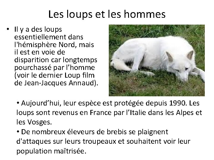 Les loups et les hommes • Il y a des loups essentiellement dans l'hémisphère Les loups et les hommes • Il y a des loups essentiellement dans l'hémisphère