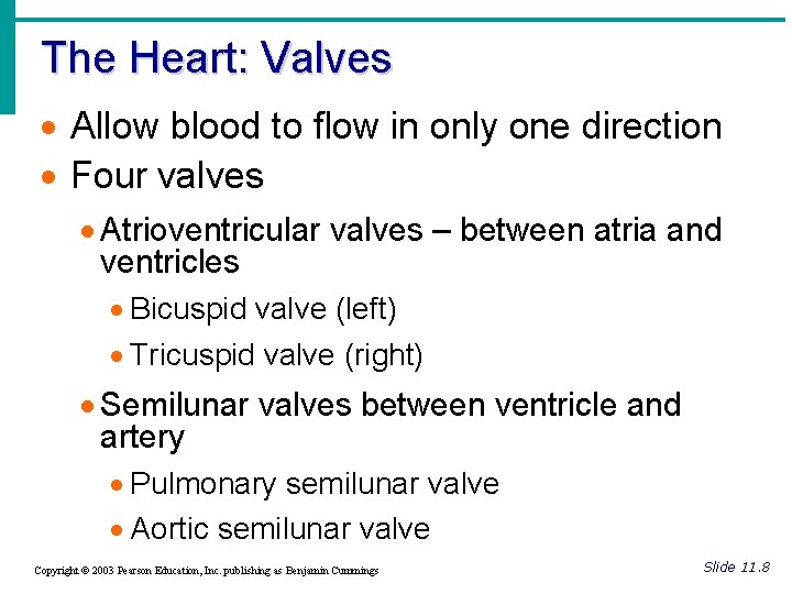The Heart: Valves · Allow blood to flow in only one direction · Four