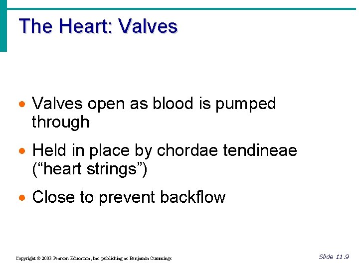 The Heart: Valves · Valves open as blood is pumped through · Held in