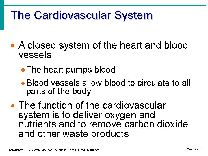 The Cardiovascular System · A closed system of the heart and blood vessels ·
