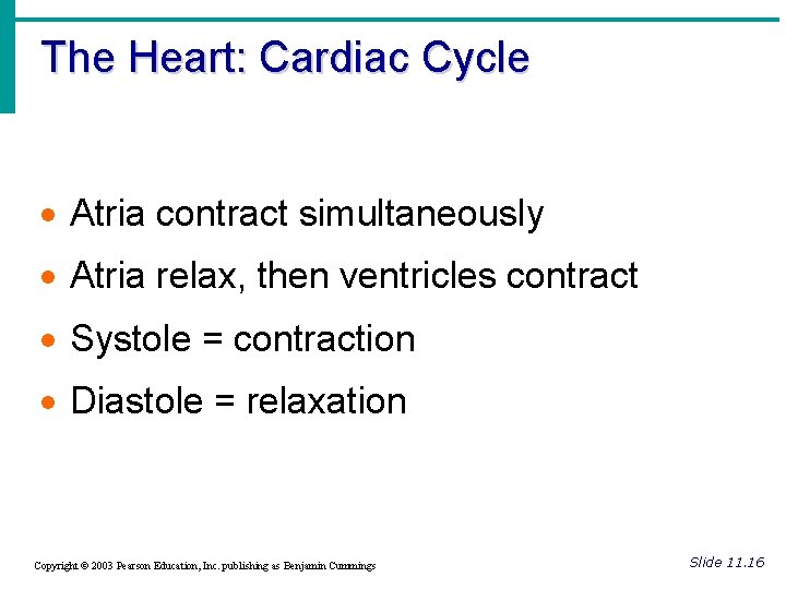 The Heart: Cardiac Cycle · Atria contract simultaneously · Atria relax, then ventricles contract