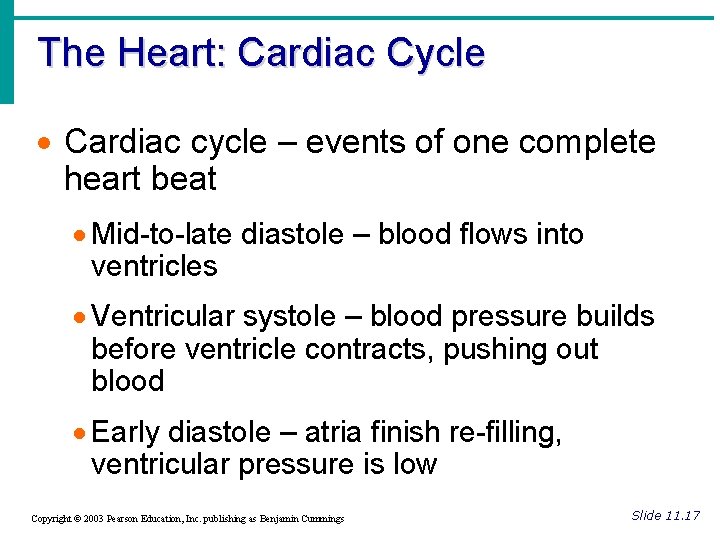 The Heart: Cardiac Cycle · Cardiac cycle – events of one complete heart beat