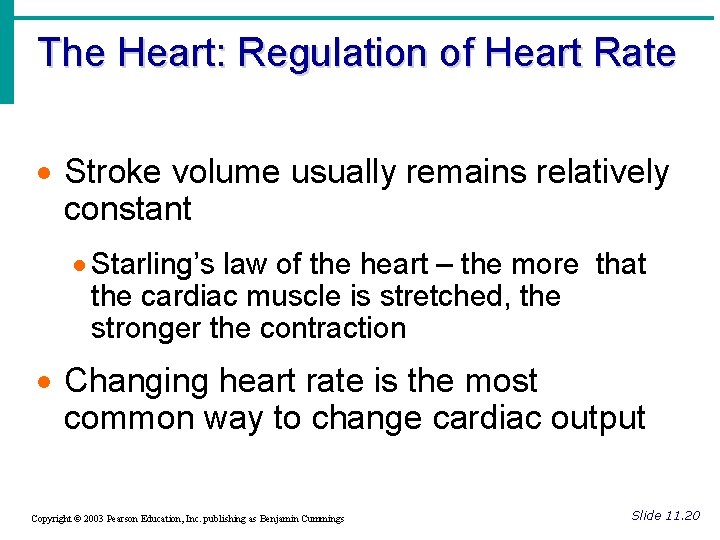 The Heart: Regulation of Heart Rate · Stroke volume usually remains relatively constant ·