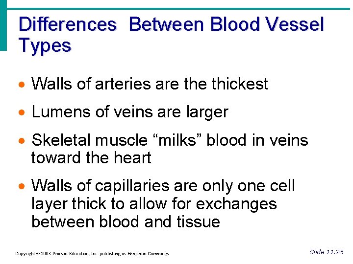 Differences Between Blood Vessel Types · Walls of arteries are thickest · Lumens of