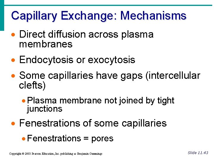 Capillary Exchange: Mechanisms · Direct diffusion across plasma membranes · Endocytosis or exocytosis ·