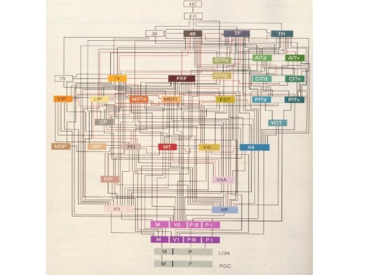 van Essen Wiring 