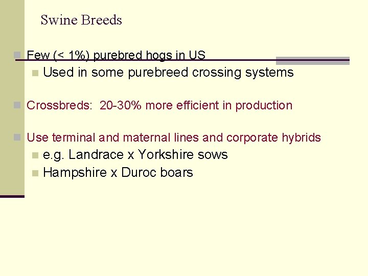 Swine Breeds n Few (< 1%) purebred hogs in US n Used in some