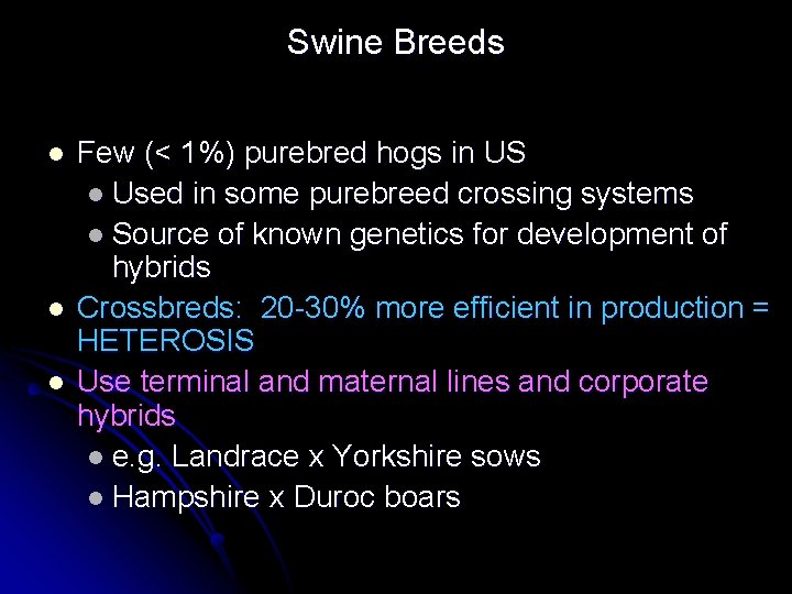 Swine Breeds l l l Few (< 1%) purebred hogs in US l Used