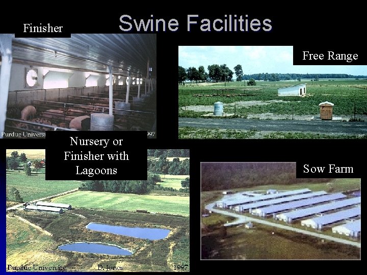 Finisher Swine Facilities Free Range Nursery or Finisher with Lagoons Sow Farm 