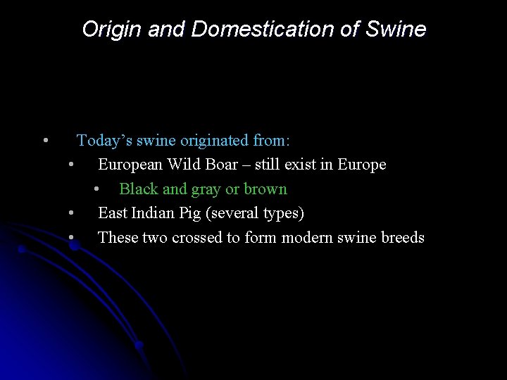 Origin and Domestication of Swine • Today’s swine originated from: • European Wild Boar