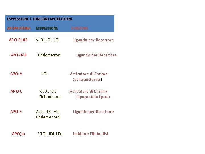 ESPRESSIONE E FUNZIONI APOPROTEINE APOPROTEINA ESPRESSIONE APO-B 100 VLDL-IDL-LDL APO-B 48 Chilomicroni APO-A HDL