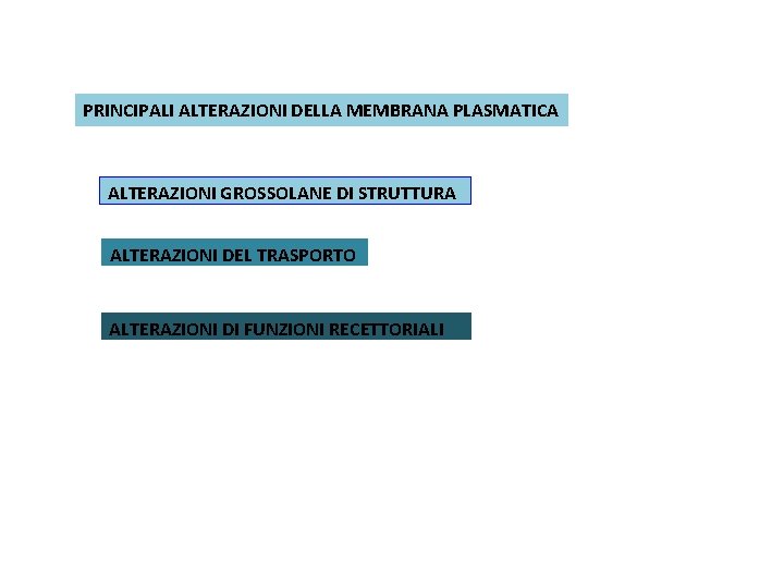 PRINCIPALI ALTERAZIONI DELLA MEMBRANA PLASMATICA ALTERAZIONI GROSSOLANE DI STRUTTURA ALTERAZIONI DEL TRASPORTO ALTERAZIONI DI