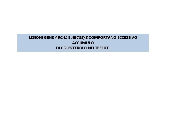 LESIONI GENE ABCA 1 E ABCG 5/8 COMPORTANO ECCESSIVO ACCUMULO DI COLESTEROLO NEI TESSUTI