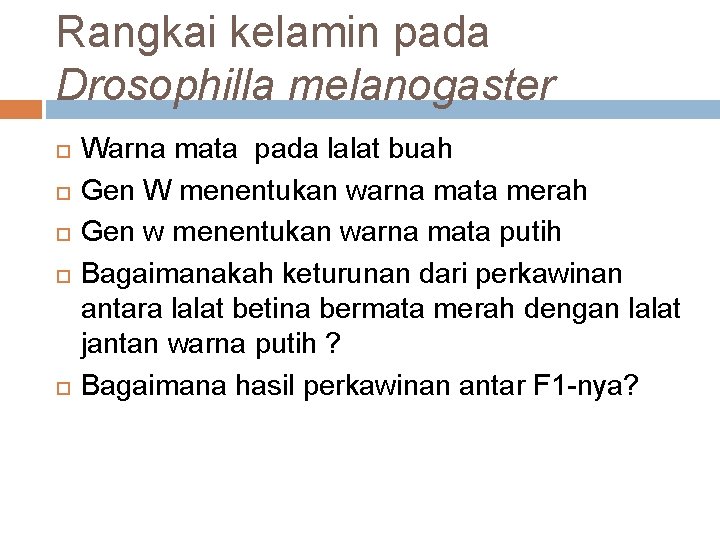 Rangkai kelamin pada Drosophilla melanogaster Warna mata pada lalat buah Gen W menentukan warna