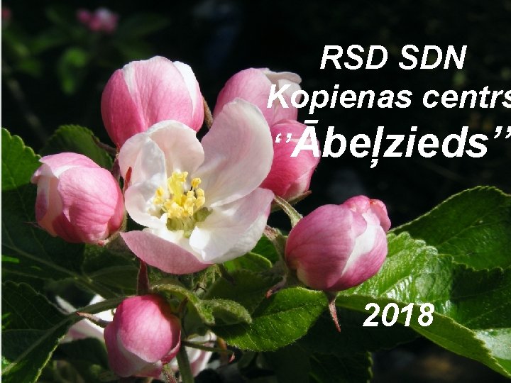 RSD SDN Kopienas centrs ‘’Ābeļzieds’’ 2018 