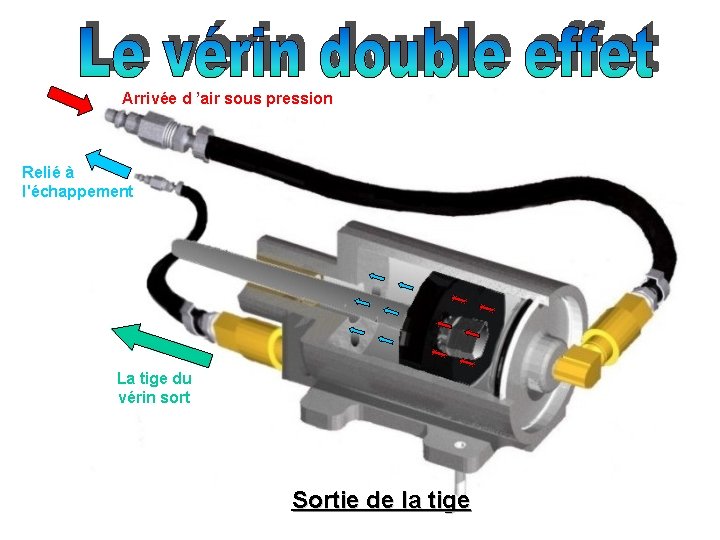 Arrivée d ’air sous pression Relié à l'échappement La tige du vérin sort Sortie