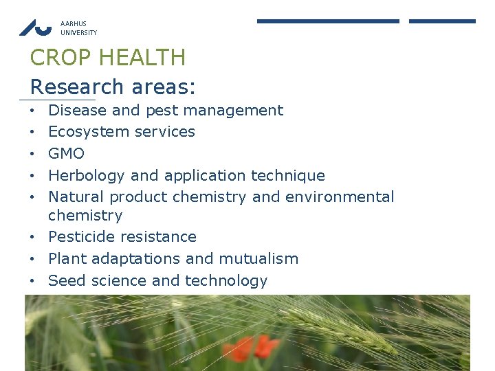 AARHUS UNIVERSITY CROP HEALTH Research areas: Disease and pest management Ecosystem services GMO Herbology