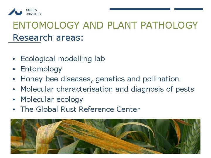 AARHUS UNIVERSITY ENTOMOLOGY AND PLANT PATHOLOGY Research areas: • • • Ecological modelling lab
