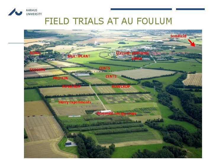AARHUS UNIVERSITY FIELD TRIALS AT AU FOULUM Semifield DONG (Organic platform) VIRKN MULTIPLANT CENTS