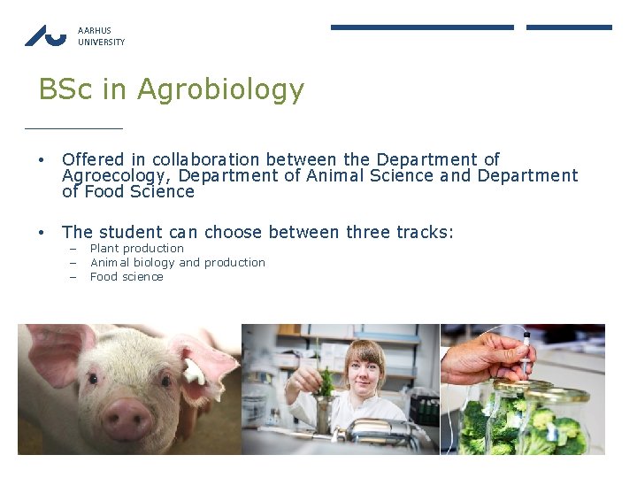 AARHUS UNIVERSITY BSc in Agrobiology • Offered in collaboration between the Department of Agroecology,