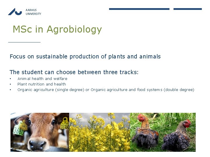 AARHUS UNIVERSITY MSc in Agrobiology Focus on sustainable production of plants and animals The