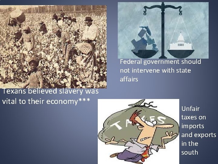 Federal government should not intervene with state affairs Texans believed slavery was vital to