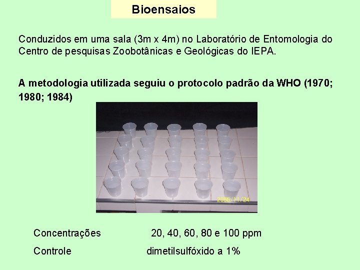 Bioensaios Conduzidos em uma sala (3 m x 4 m) no Laboratório de Entomologia